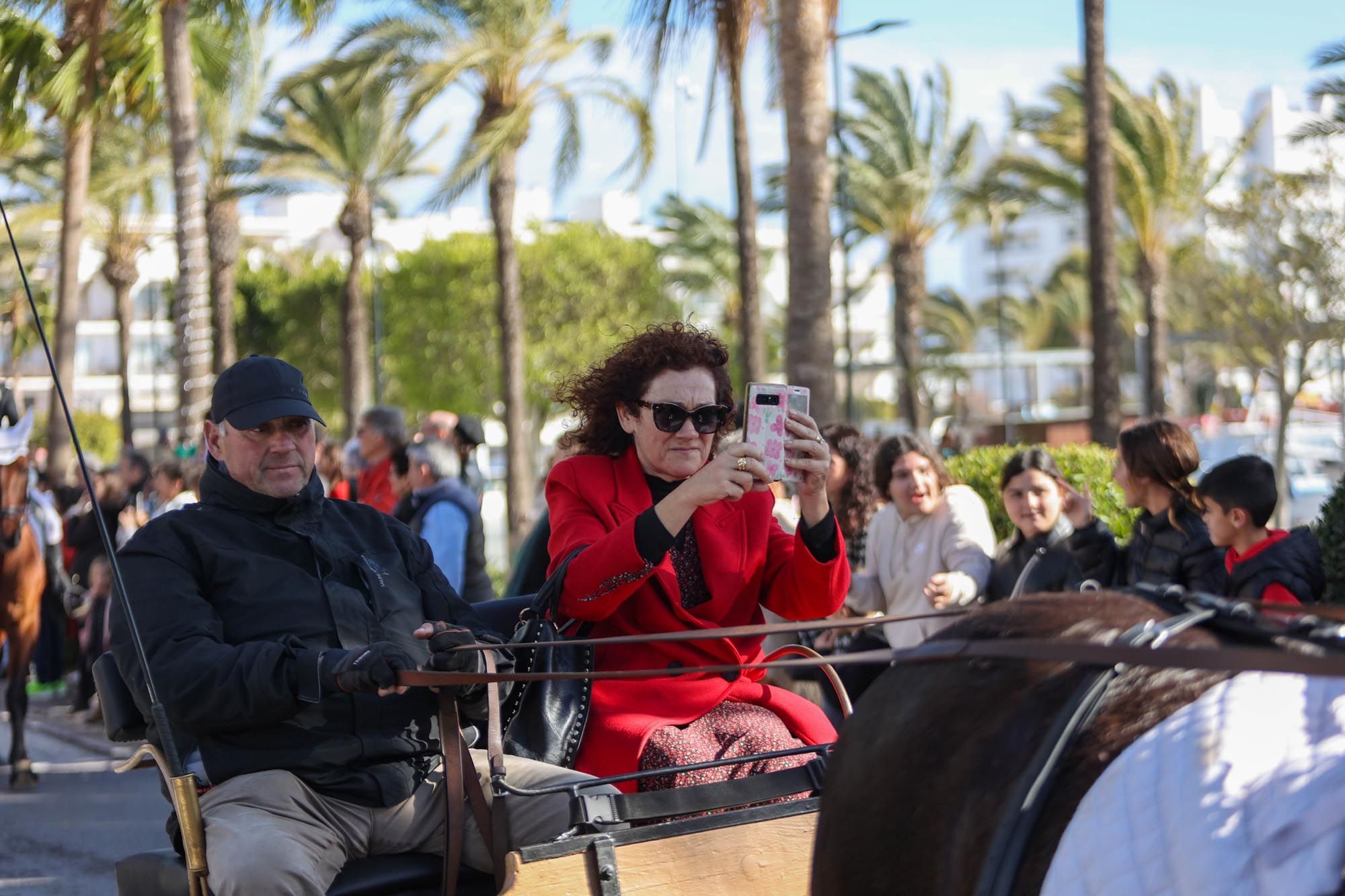 Todas las imágenes de la bendición de animales y el día grande de las fiestas de Sant Antoni