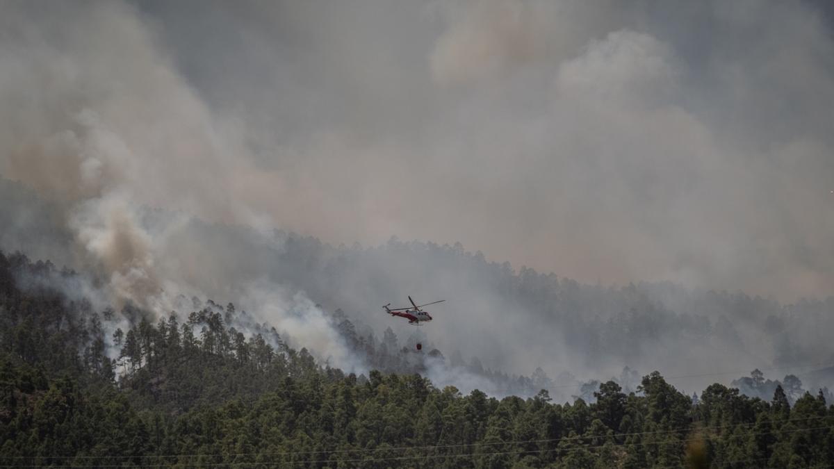 Incendio forestal en Arico