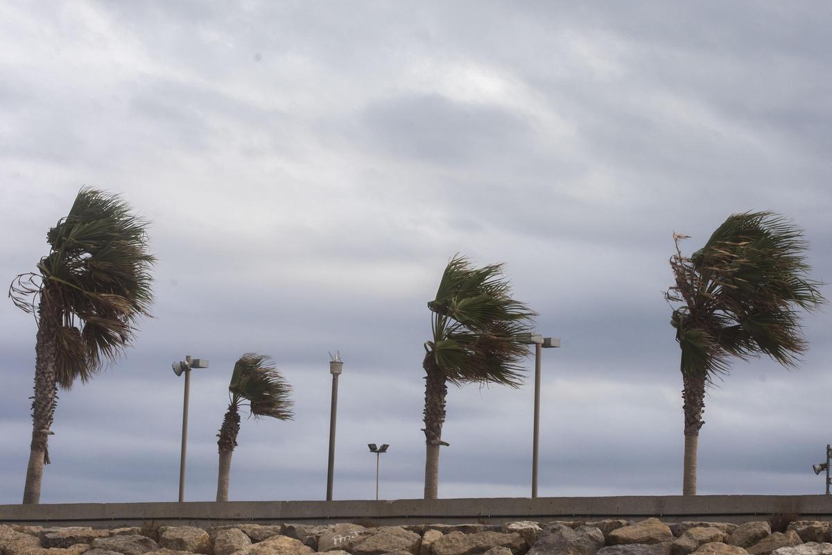 El tiempo en Valencia hoy, según la Aemet, seguirá dominado por el viento, pero con sol.