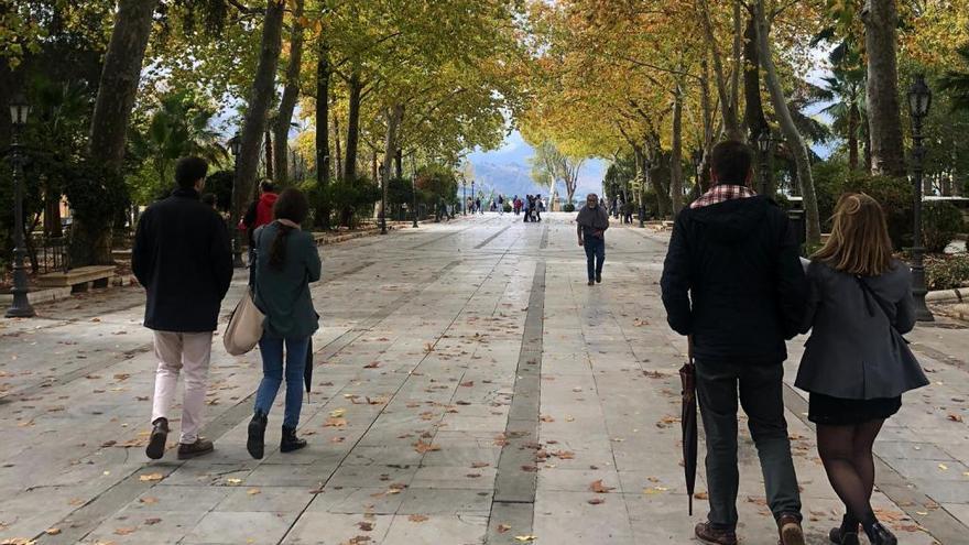 La Alameda de Ronda, este domingo.