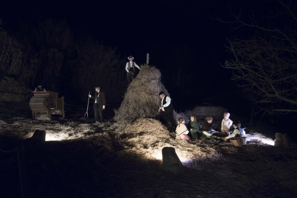 Nit Viva de Fonollosa 2019