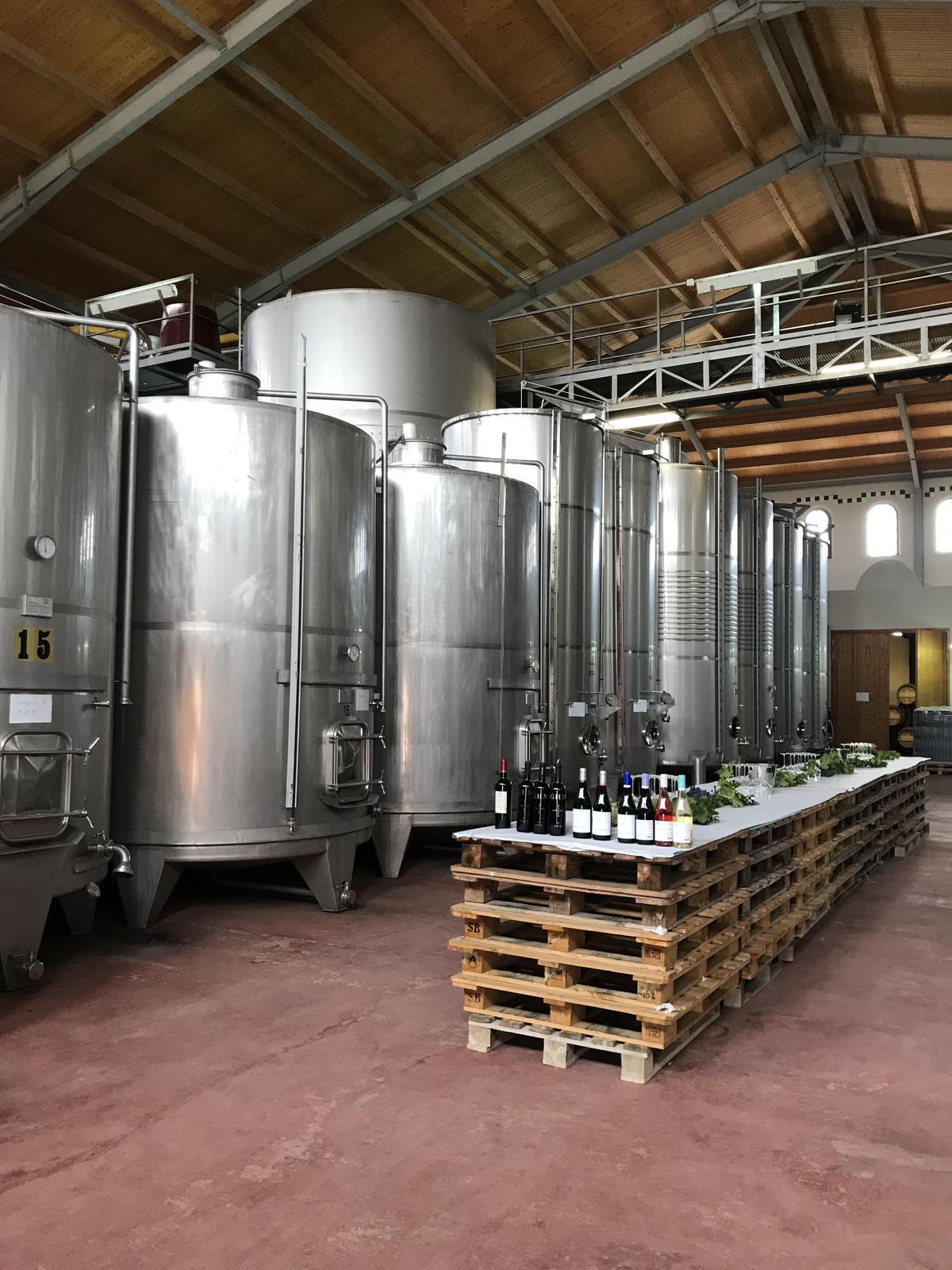 La bodega está diseñada en dos niveles, de manera que aprovecha la gravedad de las uvas al caer