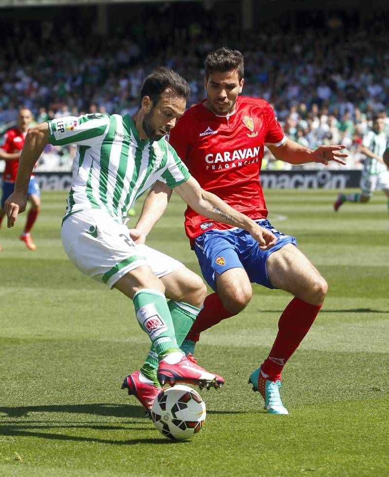 Fotogalería del Real Zaragoza contra el Betis en el Benito Villamarín