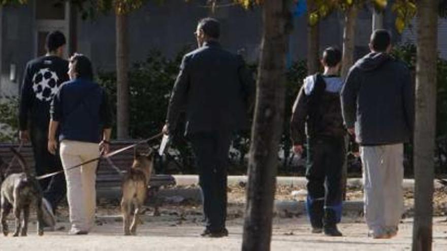 Mascotas paseando en uno de los recintos que ha habilitado el Ayuntamiento en la zona del Parque de las Avenidas.