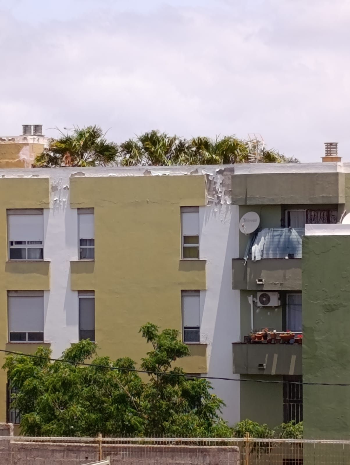 Más de 100 viviendas en ingenio, sin rehabilitar desde hace 30 años