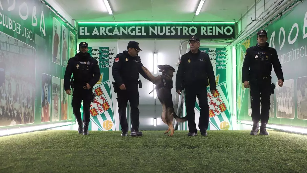 El Arcángel en alerta: así es el operativo que garantiza la seguridad en los partidos del Córdoba CF