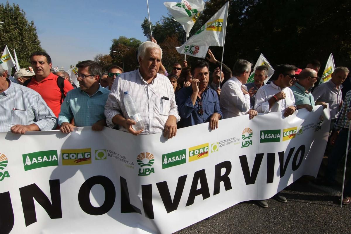 Córdoba se suma a la gran manifestación del olivar en Madrid