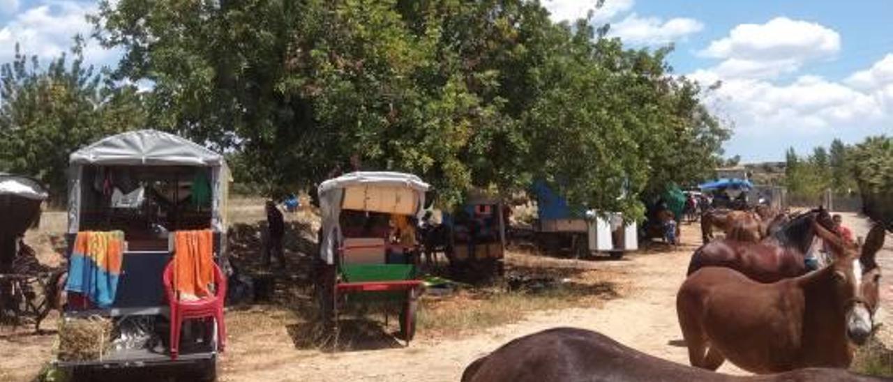 La Ruta en Carro se detiene en Turís