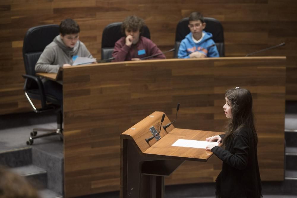 Visita escolar a la Junta General