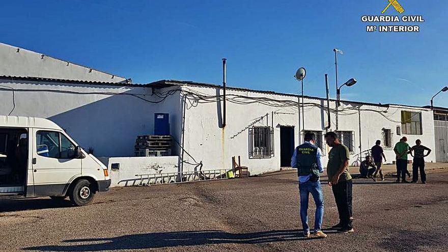 Actuación de la Guardia Civil en un almacén de frutas. | GC