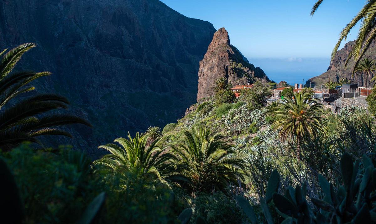 Barranco de Masca, en el municipio de Buenavista del Norte.