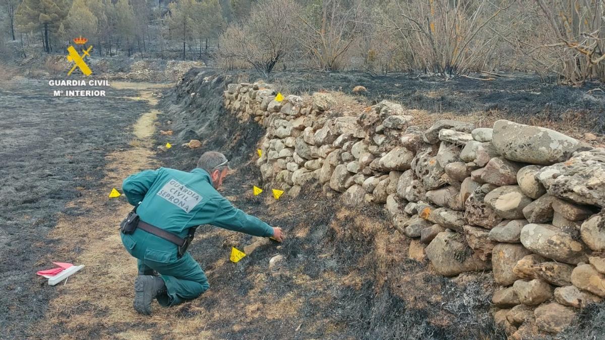 Un agent de la Unitat de Protecció de la Natura (Uprona) de la Guàrdia Civil, en la investigació d’un foc a Castelló.