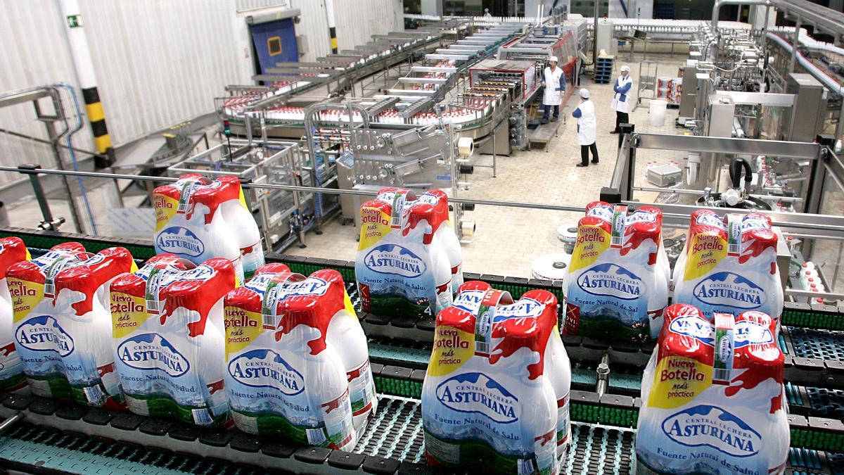 Línea de producción de leche en Capsa