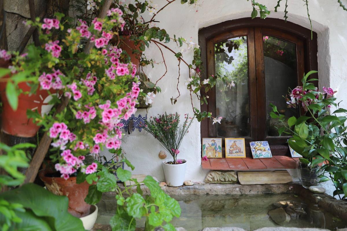 La ruta de los patios de San Pedro-Santiago, en imágenes