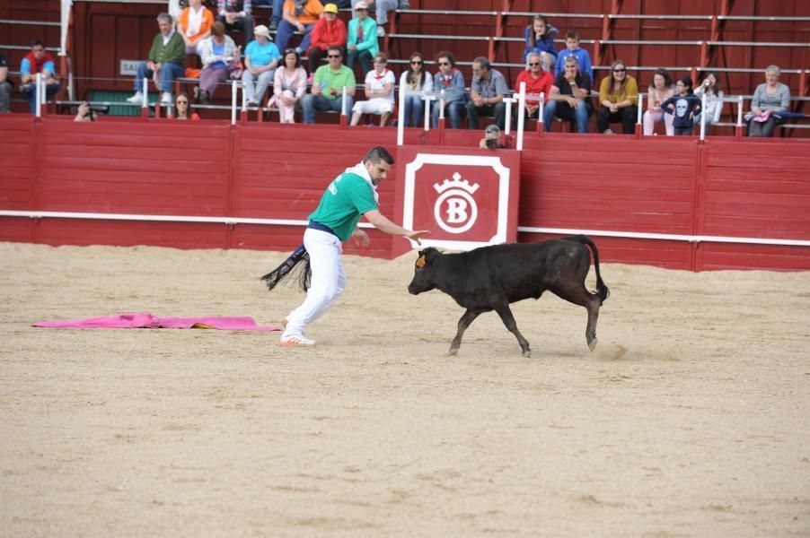 Becerrada, encierros y vaca de la sangría