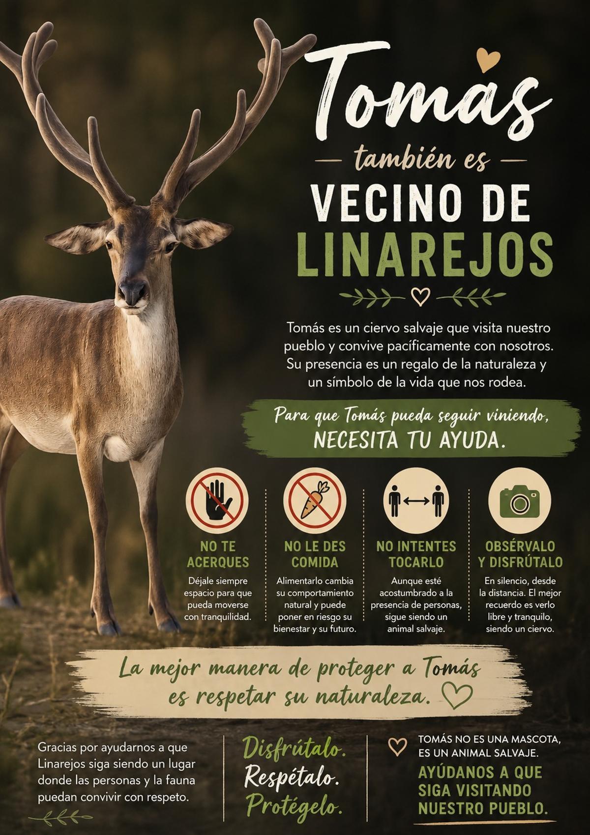 Carteles sobre el ciervo Tomás en Linarejos.