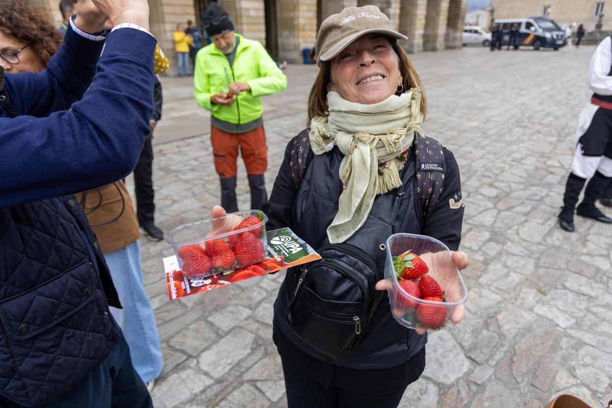 Reparten fresas de Huelva en la plaza del Obradoiro para promover su "calidad y garantía"