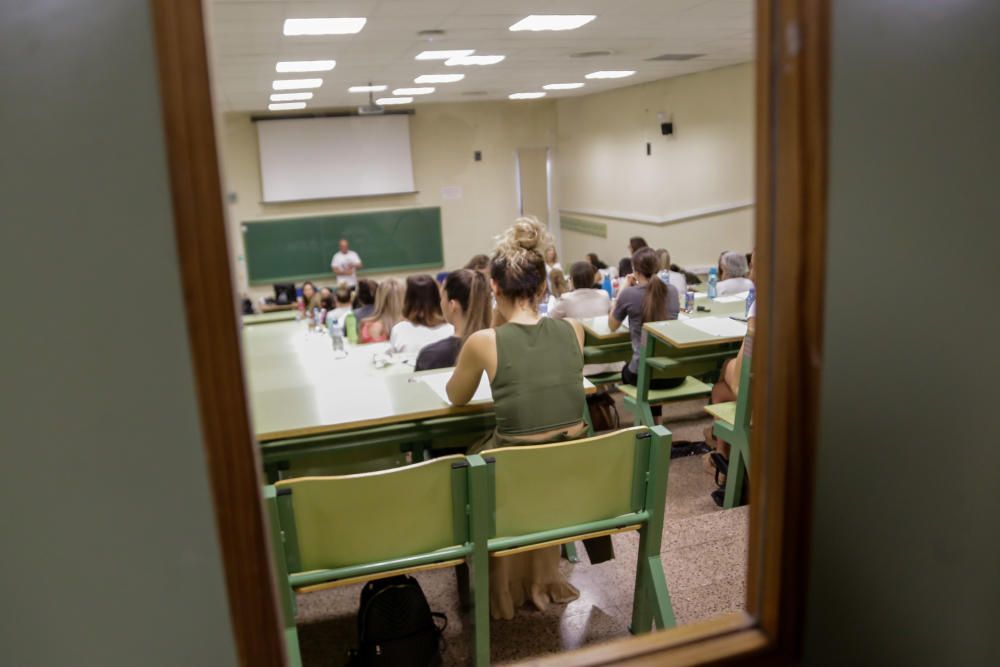 Oposiciones a Educación Primaria en la Región