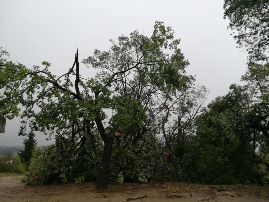 Destrosses a Riells i Viabrea per un tornado