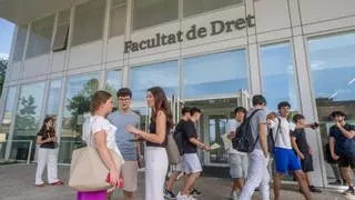 Más allá de la universidad: alternativas formativas para construir un futuro profesional sólido
