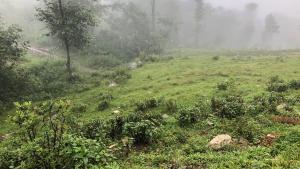 Com poden les empreses reduir la seva empremta de carboni abans del 2030?