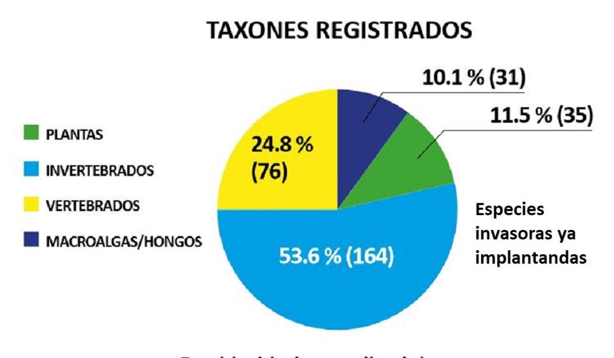 Los ríos españoles ya tienen 306 especies invasoras y otras 272 potenciales