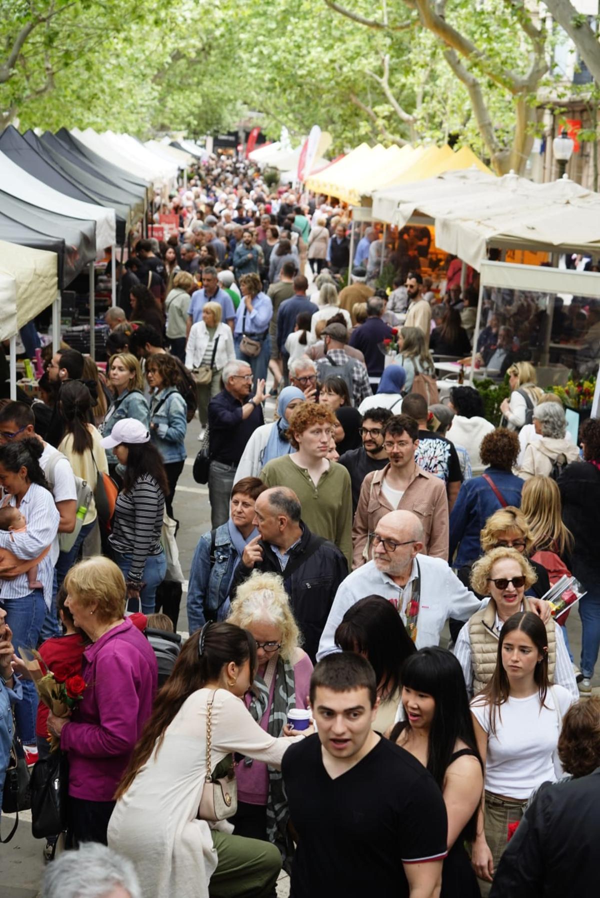 Les millor imatges de la Diada de Sant Jordi 2026 a Manresa