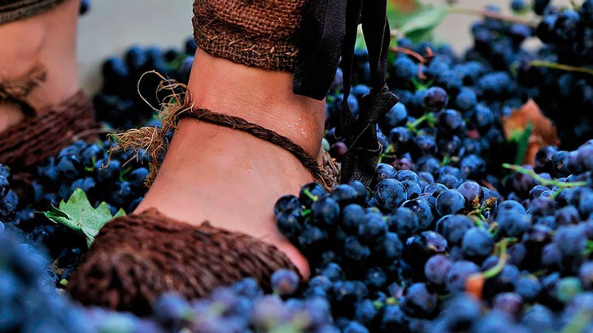 Fiestas de la Vendimia de Jumilla