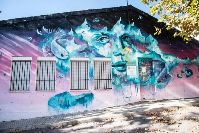 GALERÍA | Los 26 murales urbanos que llenan de color el paisaje de Mérida
