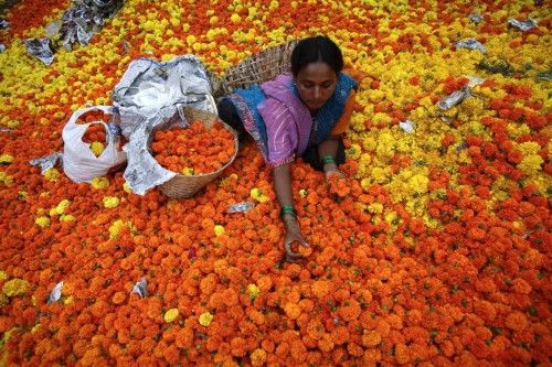 Una mujer ordena caléndulas en un mercado de flores en Mumbai