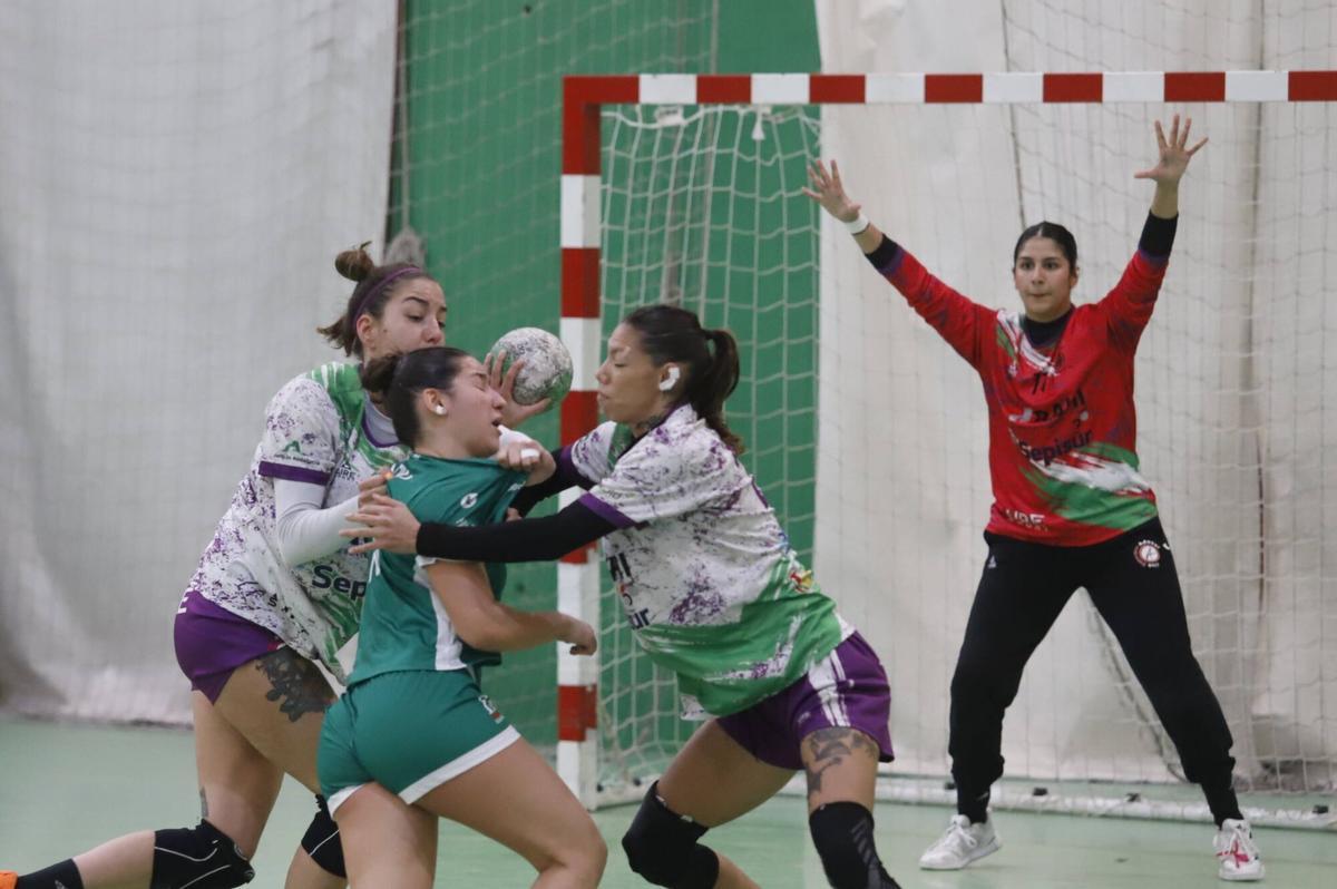 El Adesal balonmano - Anaitasuna, en imágenes
