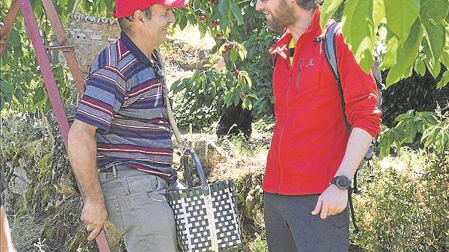 Llega el ‘agroturismo de la cereza’