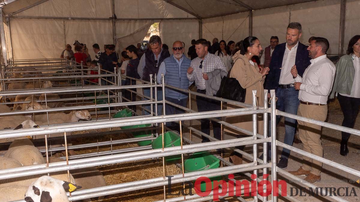 Así se ha vivido la Feria de Cordero Segureño en la pedanía caravaqueña de Archivel