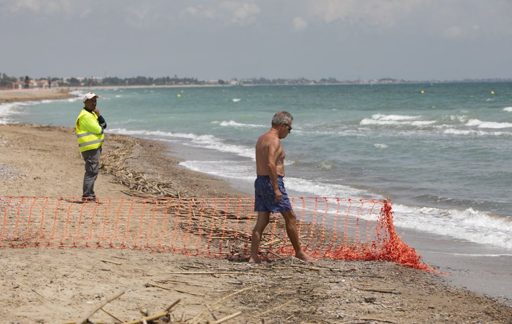 Carrera a contrareloj para tener a punto la playa de Canet d'En Berenguer