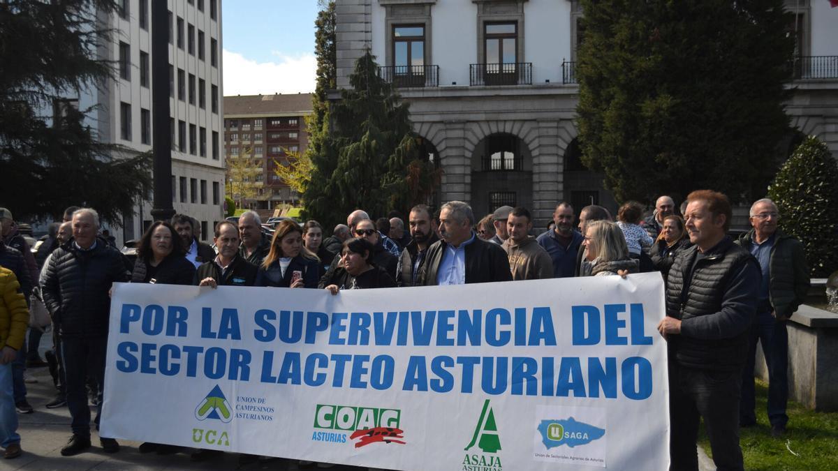 Los ganaderos asturianos inician con tensión la batalla por el precio de la leche: "¿Esperan que bebamos leche de canguro?"