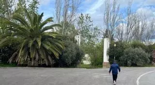 La restauración del Cascajar de Lucena acabará con un plan de reforestación vegetal