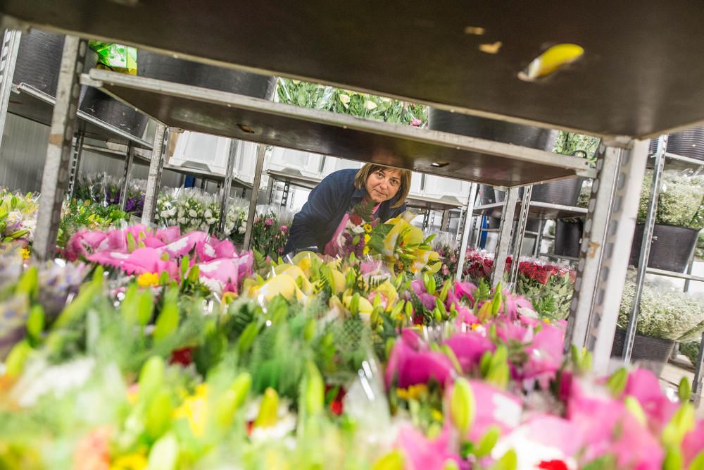 Un millón y medio de flores para el recuerdo