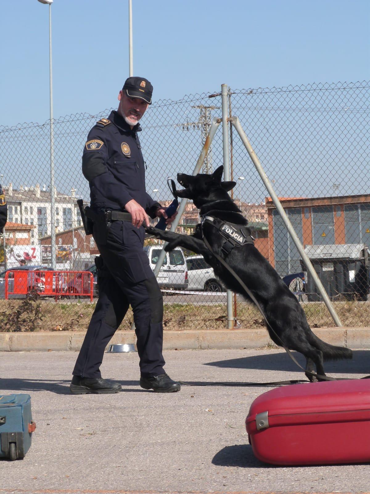 Un momento del entrenamiento.