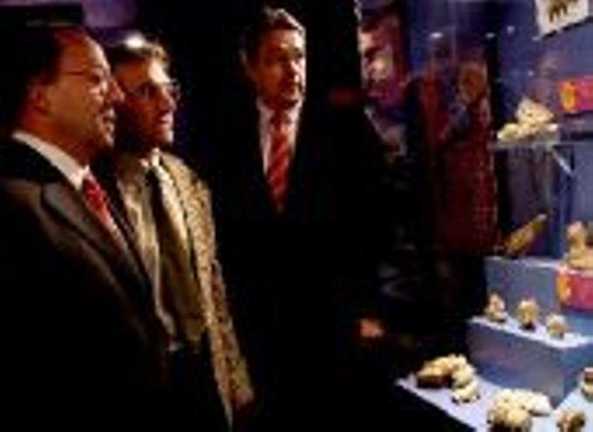 El Museo Arqueológico del Castillo abre dos salas más