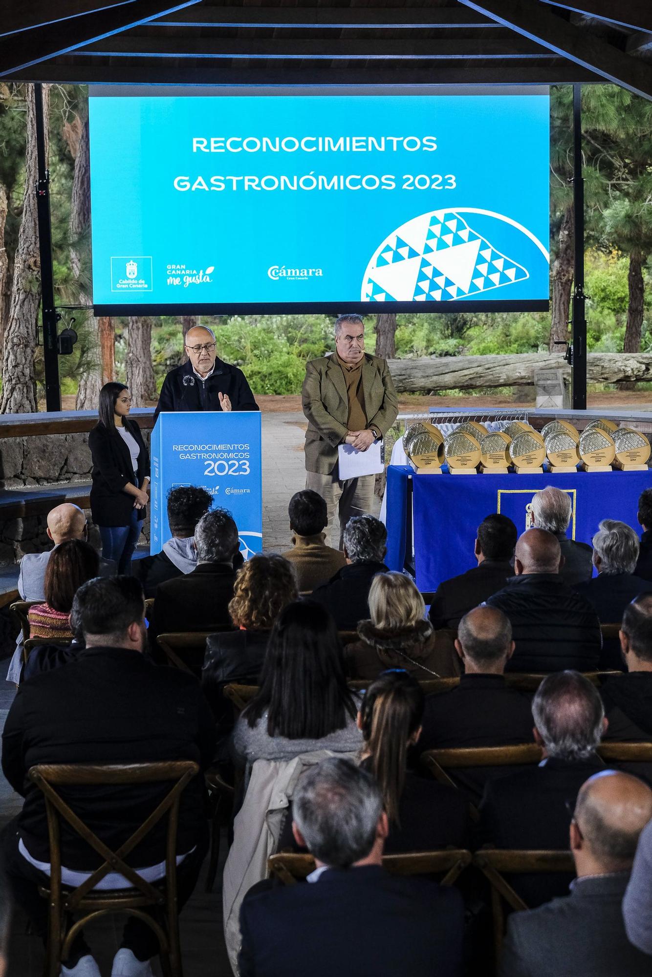 El Cabildo de Gran Canaria homenajea a los galardonados con las Guías Michelin y Repsol 2023