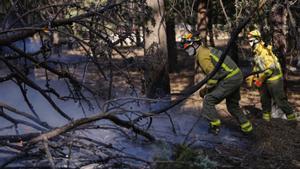 El foc dona una treva a Madrid i Àvila i 45.000 persones tornen a casa