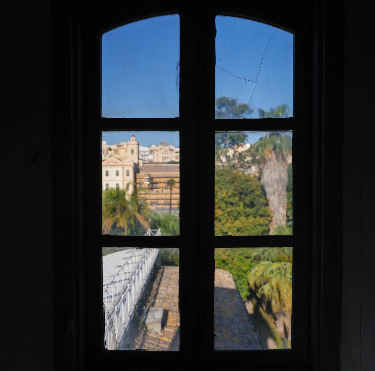 El Jardín Botánico de València está de moda
