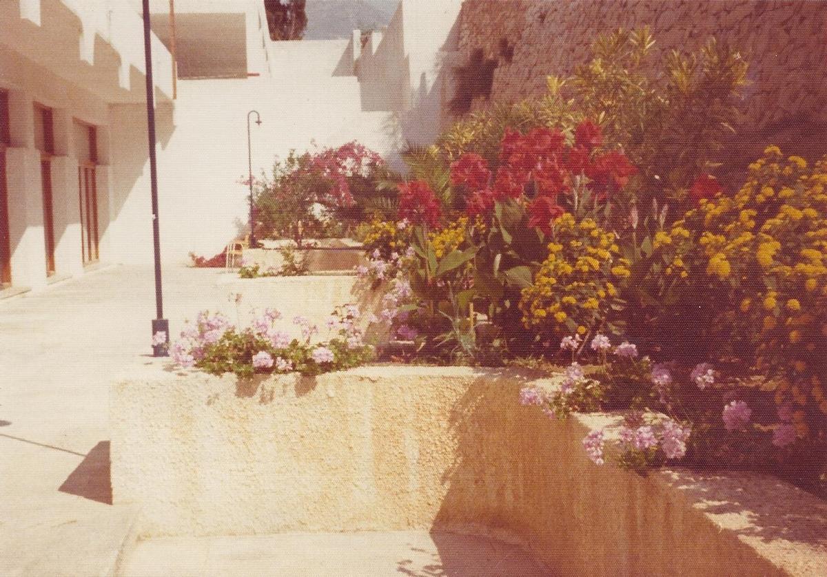Jardineras frente al comedor en 1973. Jardineras frente al comedor en 1973.