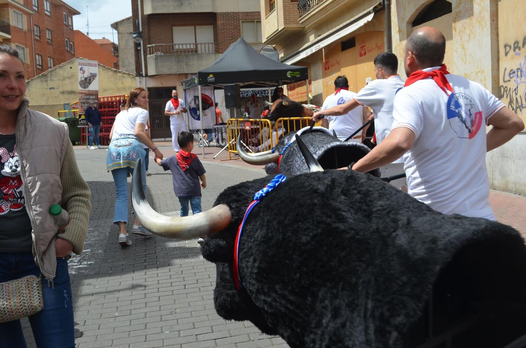 GALERÍA | Así de bien lo pasan los niños con los carretones de Gente del Toro, en Benavente