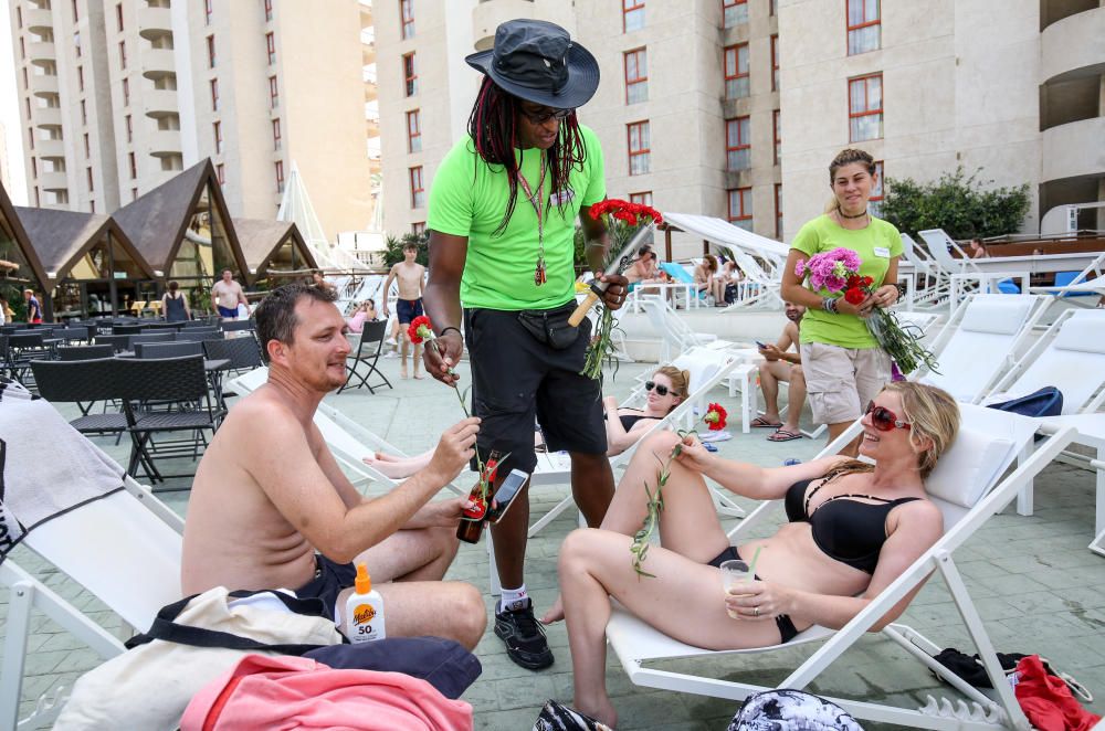 La cadena hotelera Magic Costa Blanca planta cara a los ataques de radicales al turismo agasajando a sus huéspedes con claveles y cava