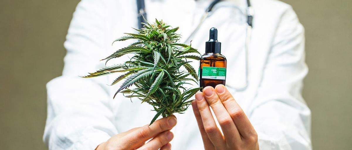 8 de cada 10 establecimientos que venden aceites cosméticos con CBD  aconsejan ingerirlos