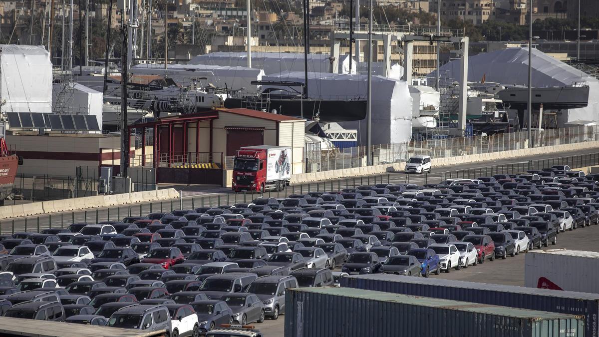 Coches de alquiler en el puerto de Palma.