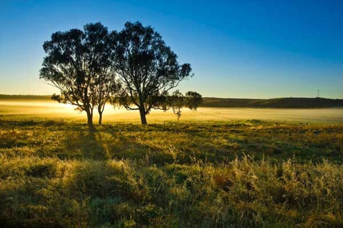 El río Murray, al Sur de Australia, discurre por esta gran llanura.