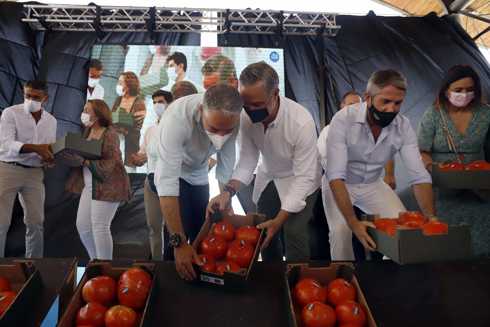 Concurso hortofrutícola de Coín y subasta Mejor Tomate Huevo de Toro