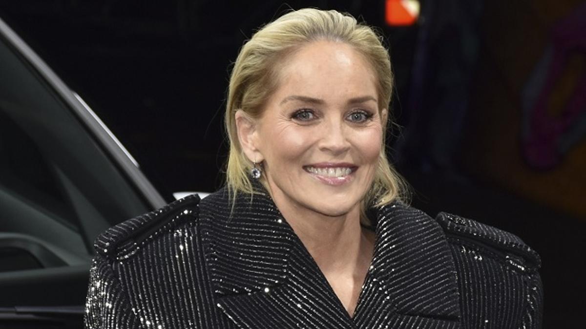 El perfecto juego de volúmenes de Sharon Stone